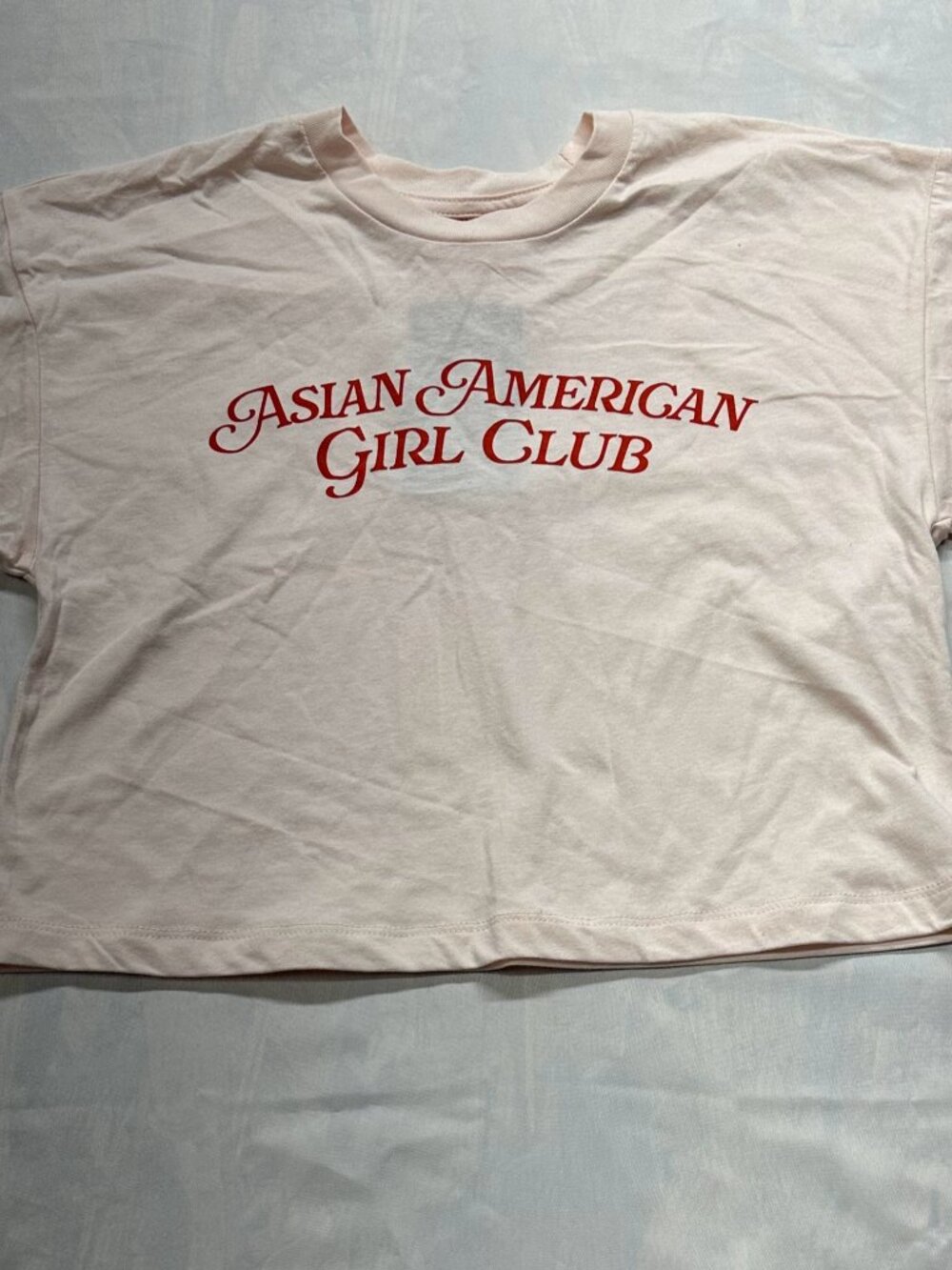 NWT Asian American Girl Club Cropped Tee Pink Retro Graphic T-Shirt Womens XS